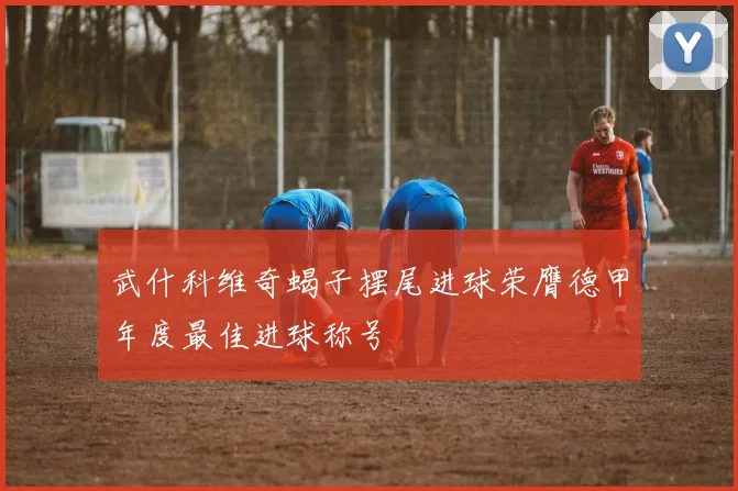 武什科维奇蝎子摆尾进球荣膺德甲年度最佳进球称号
